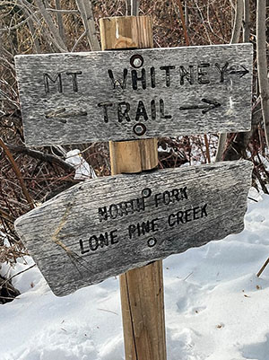 mt whitney trail